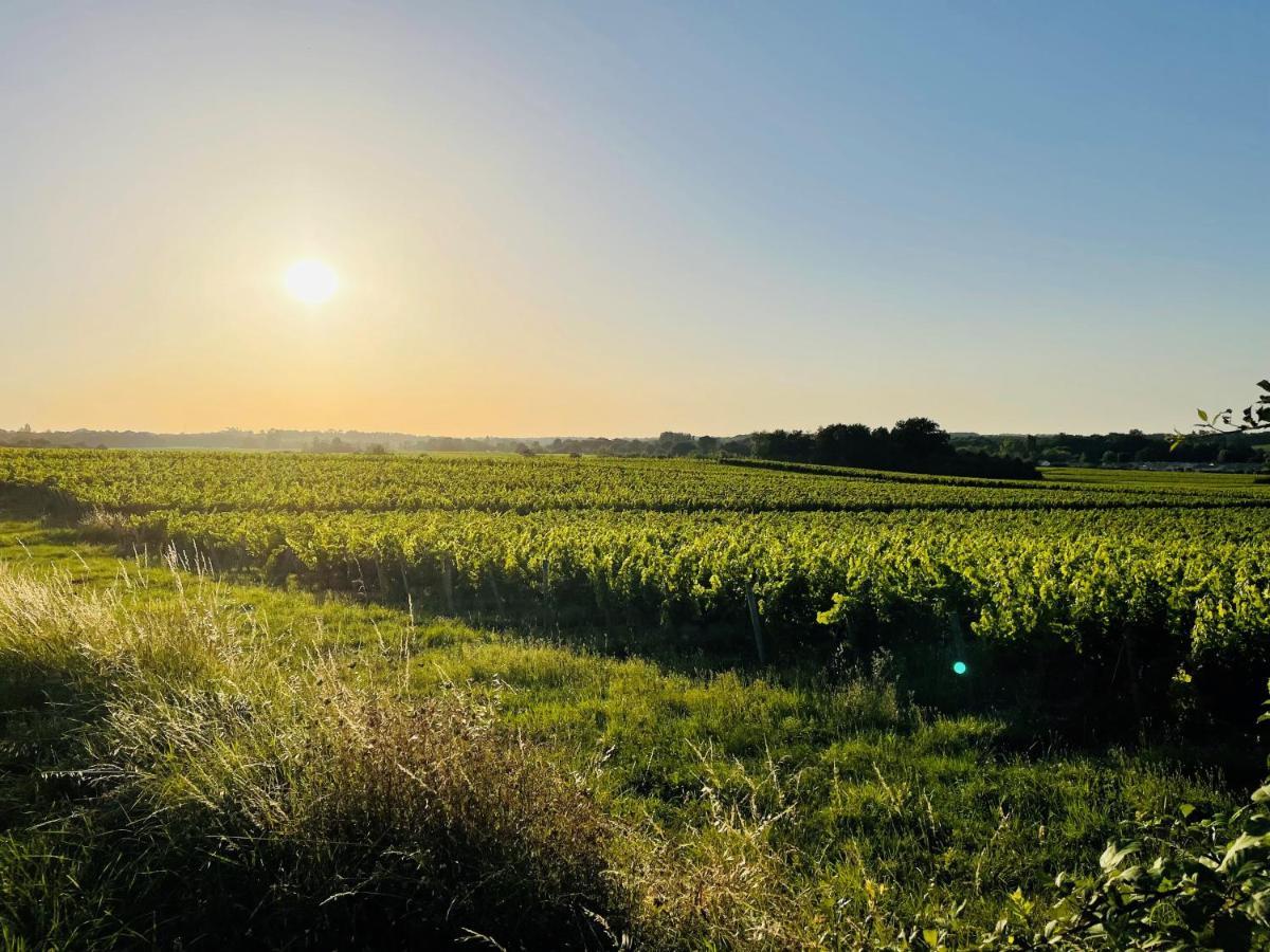 Bed and Breakfast La Vigne D'Or Teuillac Экстерьер фото